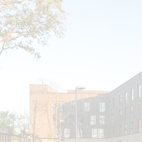 Conception et réalisation intranet collaboratif Le Noble Age