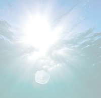 IFREMER portail de données marines