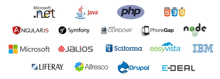 Microsoft .net, JAVA, PHP, HTML5, CSS3, JavaScript, AngularJS, Symfony, Apache Cordova, PhoneGap, node.js, Microsoft, Jalios, Sciforma, EasyVista, IBM, Liferay, Alfresco, Drupal, E-DEAL