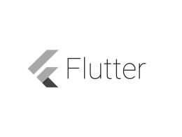 Flutter - SDK Google